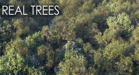 15组高逼树木植物3D模型库 VIZPARK REAL TREES