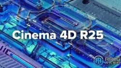 Cinema 4D Studio三维设计软件R25.113版