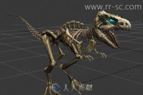 超精细霸王龙的骨架3D模型