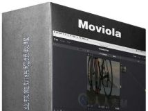 达芬奇Resolve 12专业技能训练视频教程 Moviola Resolve 12 Training