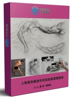 Patrick人物角色解剖学传统绘画大师级视频教程