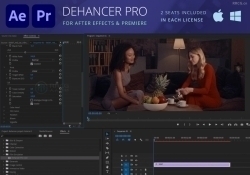 Dehancer Pro胶片颜色分级调色AEPR插件V7.1.1版