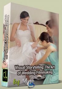 婚纱视觉艺术影片制作视频教程
