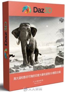 高大温和憨态可掬的印度大象和姿势3D模型合辑