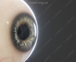 15组角色眼睛眼球高精度3D模型合集