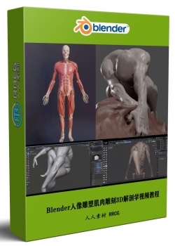 Blender人像雕塑肌肉雕刻3D解剖学大师级视频教程