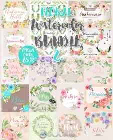 17款水彩风格花和植物平面素材合辑第二辑Big Watercolor floral Bundle 2