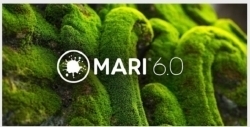 Mari三维纹理贴图绘制工具软件6.0v1版