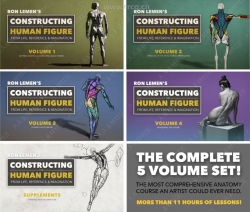 人体构造解剖学数字绘画核心训练视频教程