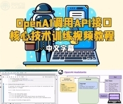 【中文字幕】OpenAI调用API接口核心技术训练视频教程