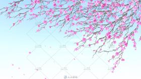 唯美树枝上梅花飘落高清动态视频素材