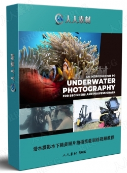 潜水摄影水下精美照片拍摄技能训练视频教程
