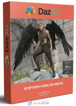 威武霸气的男性天使星晨之翼3D模型合辑