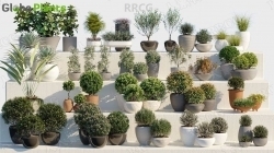 58组逼真装饰性盆栽植物3D模型合集