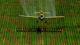 航拍飞机喷洒农药中近景视频素材