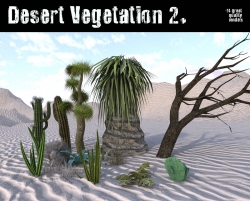 多种沙漠生存植物3D模型