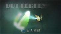美丽蝴蝶飞舞Logo演绎动画AE模板 Videohive Butterfly Logo Reveal 6280982 Projec...