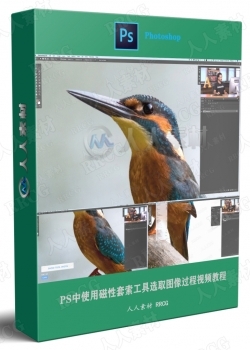 PS中使用磁性套索工具选取图像过程视频教程