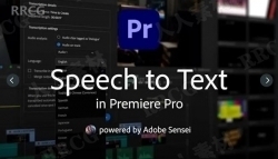 Adobe Speech to Text视频对话自动添加字幕Premiere Pro插件