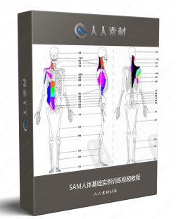 SAM人体基础实例训练视频教程