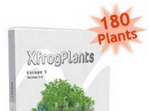 XfrogPlants欧洲树木植物3D模型合辑 XfrogPlants EUROPE 3