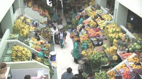 俯视水果市场全景人流穿梭市场高清实拍视频素材