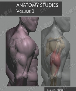 人体骨骼肌肉解剖学研究书籍+附姿势示意图