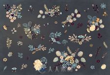 花卉图案平面素材Floral Cliparts