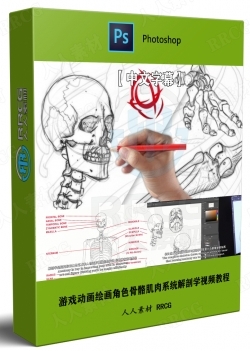 【中文字幕】游戏动画漫画绘画角色骨骼肌肉系统解剖学视频教程