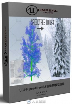 UE4中SpeedTree树木植物3D模型合辑 SPEEDTREE COLLECTION FOR UNREAL ENGINE 4