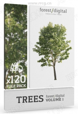 120组高品质树木摄影抠图照片高清图片合集