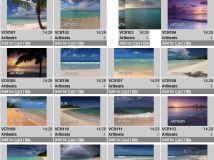 加勒比海海滩高清实拍视频素材合辑 Artbeats Caribbean Beaches V-Line