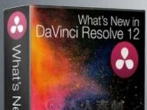 DaVinci Resolve 12达芬奇调色新功能训练视频教程 Ripple Training What’s New in...