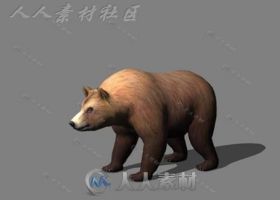 现实凶猛大棕熊3D模型带动画