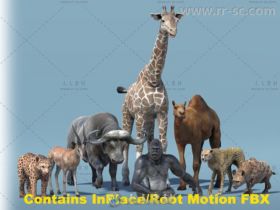 非洲动物包哺乳动物角色3D模型Unity游戏素材资源