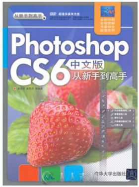 Photoshop CS6中文版从新手到高手