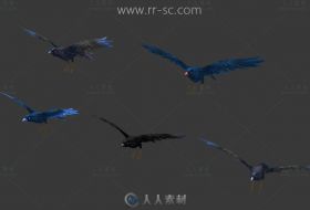 游戏中的5只乌鸦3D模型