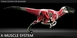 X-Muscle System快速创建肌肉系统Blender插件V3.0版