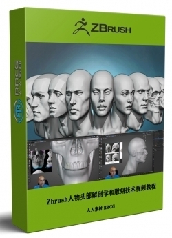 Zbrush人物头部解剖学和雕刻技术训练视频教程