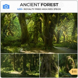 430组古老茂密植被森林雨林高清参考图片合集
