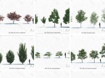 16组树木植物3D模型合辑 MaxTree Plant Models Vol 2