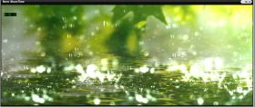 雨滴，花朵，树林精美视频素材！2
