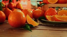 鲜橙种植果园黄金果肉高清实拍宣传片视频素材