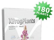 花朵盆栽植物3D模型合辑 XfrogPlants Flowers 3