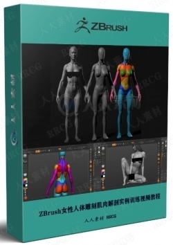 ZBrush女性人体雕刻肌肉解剖实例训练视频教程
