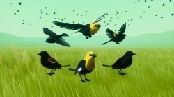 鸟类鸟群系统虚幻引擎UE游戏素材