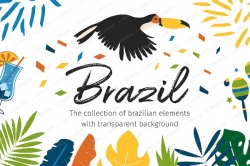 巴西风格异国风情元素花卉鹦鹉清新图片素材