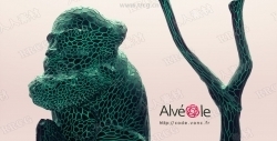 Vonc Alveole类细胞网状建模C4D R23插件V1.0.3版