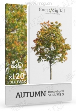 120组秋季秋天树木植物高清参考图片合集