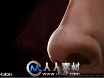 《ZBrush雕刻人物鼻子视频教程》Digital-Tutors Sculpting Human Noses in ZBrush 4R4